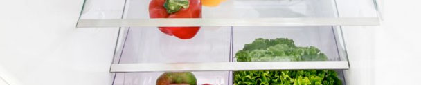 Refrigerador con Bioplastico