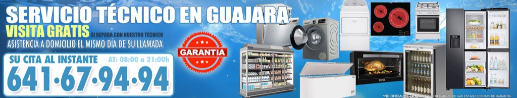 Servicio Técnico en Guajara