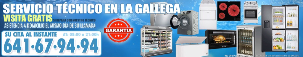 Servicio Técnico en La Gallega