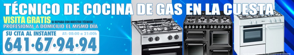 Técnico de Cocina de Gas en La Cuesta